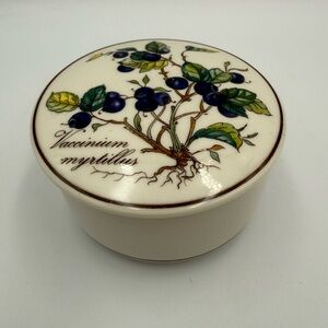Vintage Villeroy & Boch Vitro Porcelaine Lidded Trinket Box Vaccinium Myrtillus